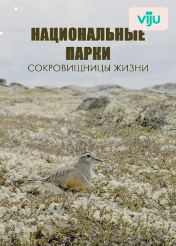 1 серия