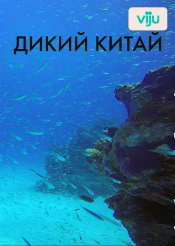 1-я серия