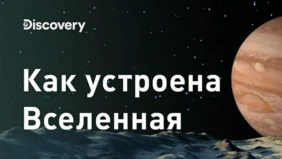Трейлер 1