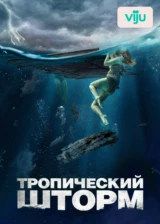 Тропический шторм