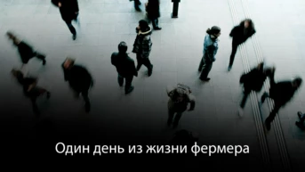 Один день из жизни фермера