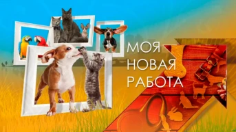 Моя новая работа