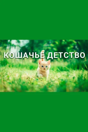 Истории котят