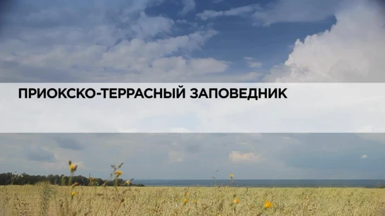 Приокско-террасный заповедник