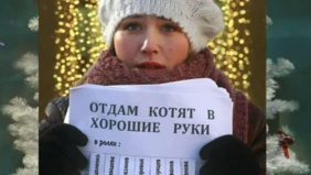 Трейлер 1