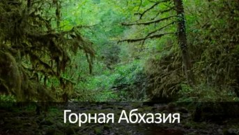 Горная Абхазия