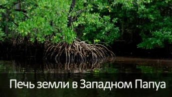 Печь земли в Западном Папуа