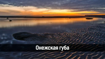 Онежская губа