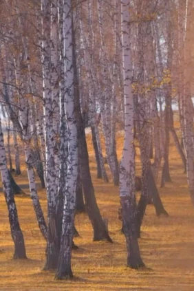 У озера Узункуль