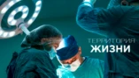 Мир в твоей голове