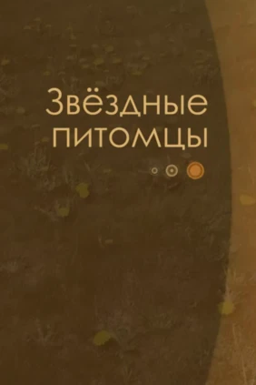 Звёздные питомцы