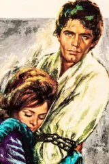 Ванина Ванини