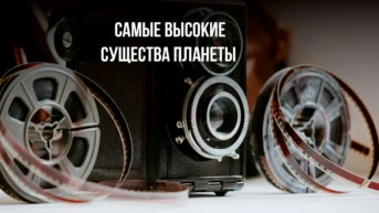 Самые высокие существа планеты