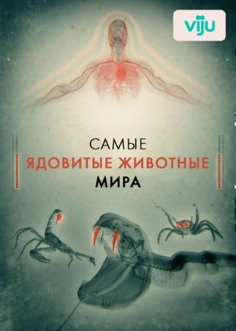 1 серия