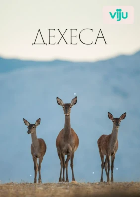 Дехеса