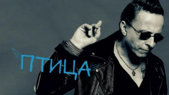 Птица