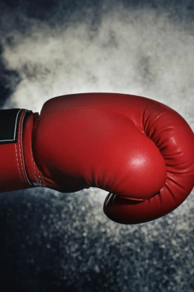10-раундовый бой в полулегком весе (до 57,2 кг) за вакантный титул WBA Continental. Руслан Камилов (Россия) - Евгений Смирнов (Россия)