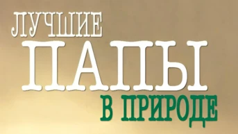 Суперпапы дикой природы