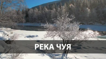 Река Чуя