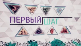 Орехи и сухофрукты
