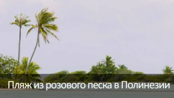 Пляж из розового песка в Полинезии