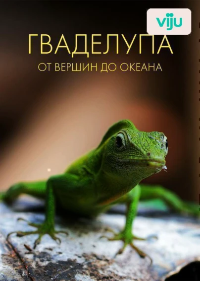 Гваделупа: от вершин до океана