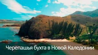 Черепашья бухта в Новой Каледонии