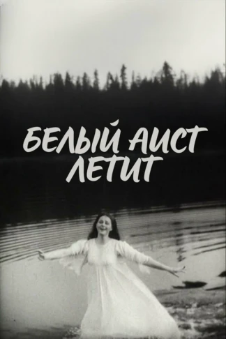 Белый аист летит