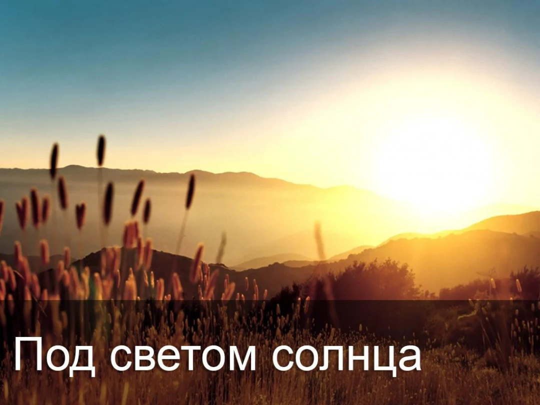 Передача Под светом солнца