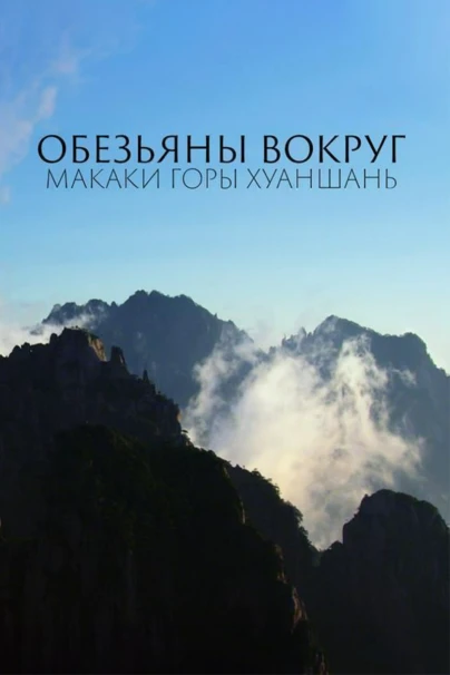 Обезьяны вокруг: макаки горы Хуаншань