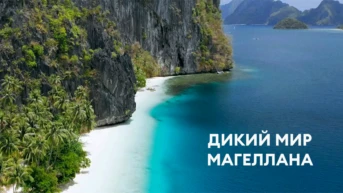 Дикий мир Магеллана