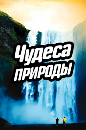 Чудеса природы