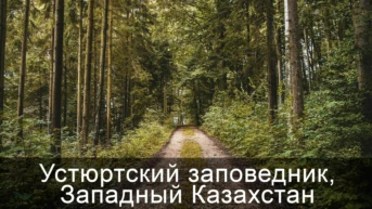 Устюртский заповедник, Западный Казахстан