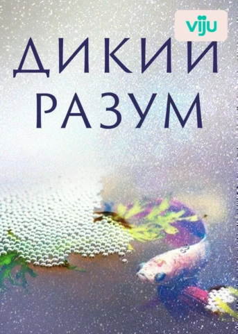 Сооружения