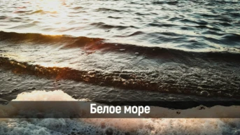 Белое море