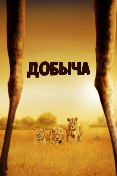 Добыча