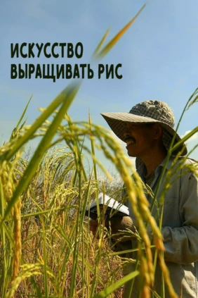 Искусство выращивать рис