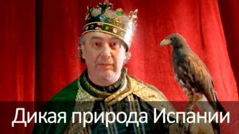 Дикая природа Испании