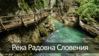 Река Радовна Словения