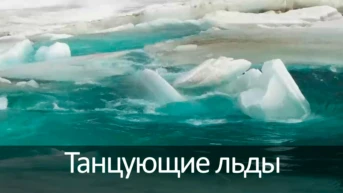 Танцующие льды
