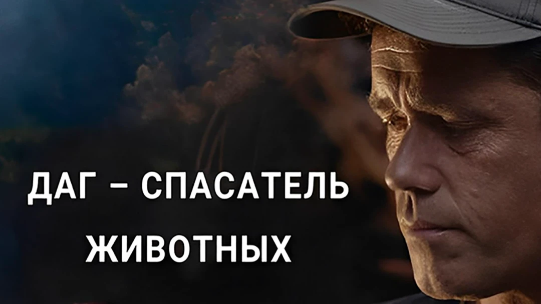 Сериал Даг - спасатель животных