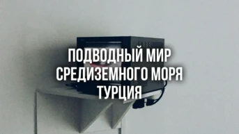 Подводный мир Средиземного моря Турция