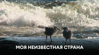 Моя неизвестная страна