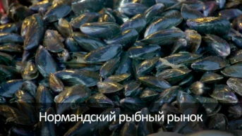 Нормандский рыбный рынок