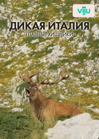 Возвращение волчьей стаи