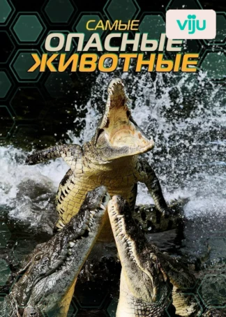 Самые опасные животные