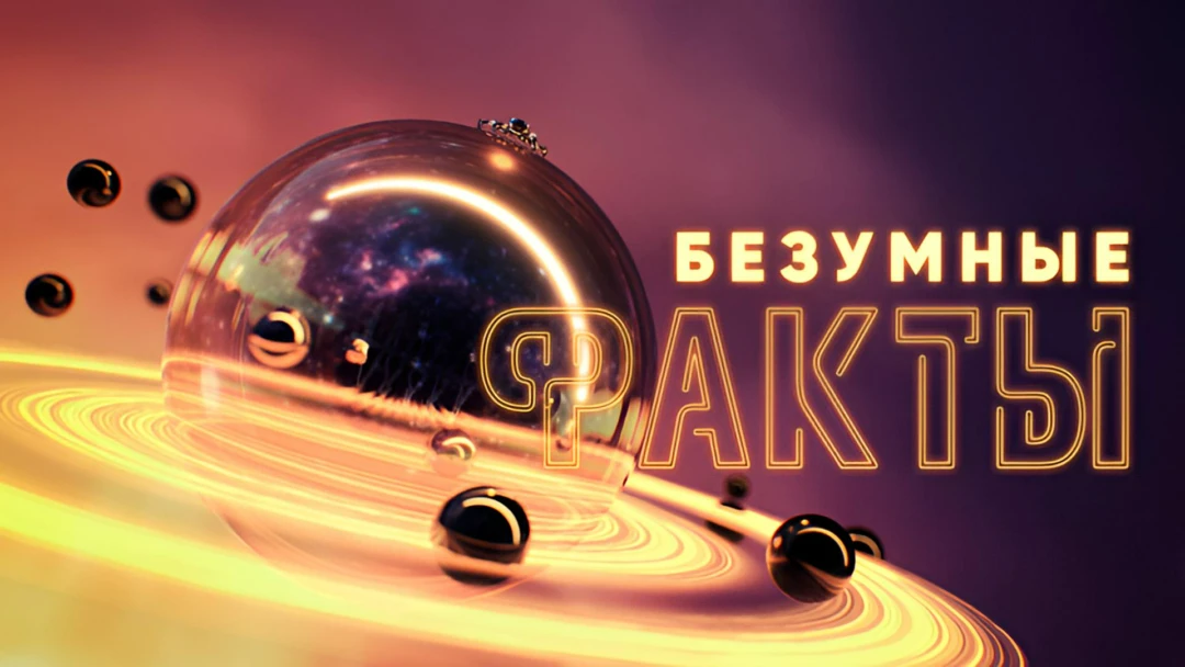 Передача Безумные факты