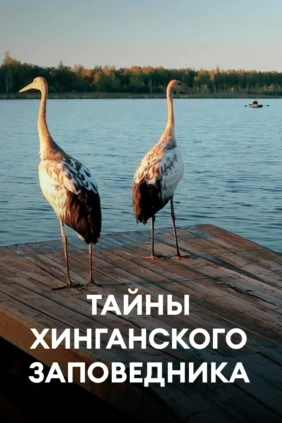 Тайны Хинганского заповедника