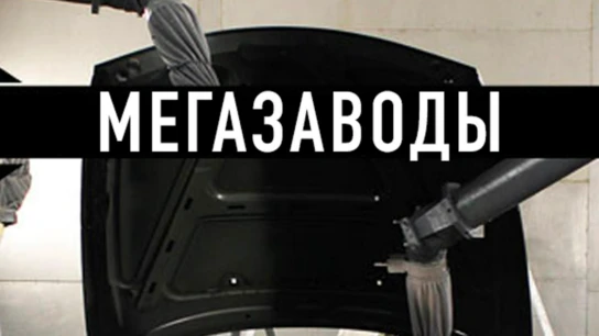 Мегазаводы