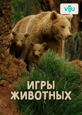 Игры животных